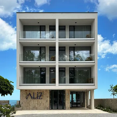 Aliz Cu Frontala La Mare 3* אפורי נורד