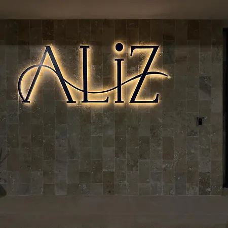 Aliz Cu Frontala La Mare 3* אפורי נורד