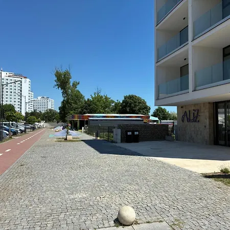 Aliz Cu Frontala La Mare אפורי נורד